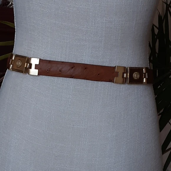 Ostrich Leather Segmented Heavy Brass Hinged Belt display picture 3